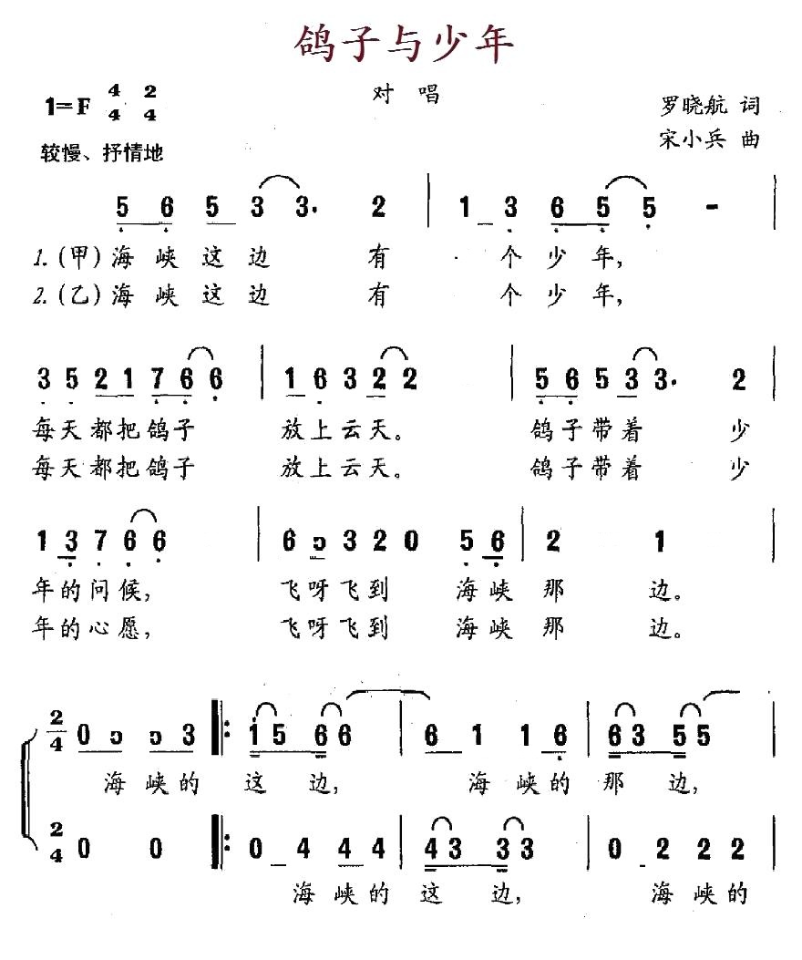 鸽子与少年