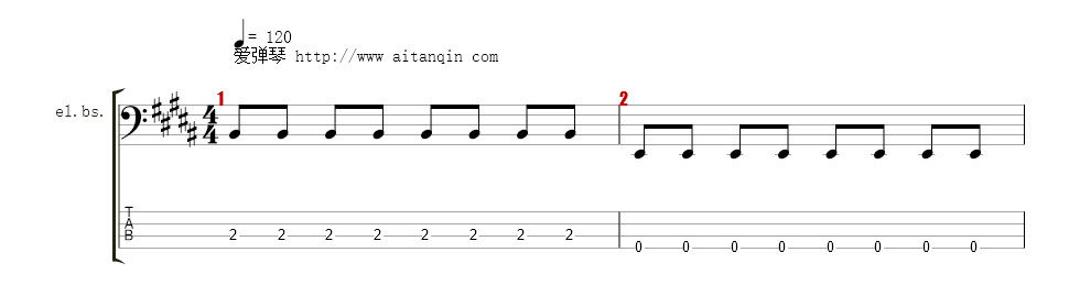 Bass Guitar